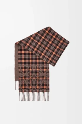 Anagram Scarf in Silk and Cashmere