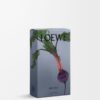 Beetroot room spray