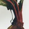 Beetroot room spray