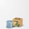 Candles Discovery Set