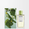 Cucumber room spray