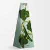 Cucumber Wax Candleholder