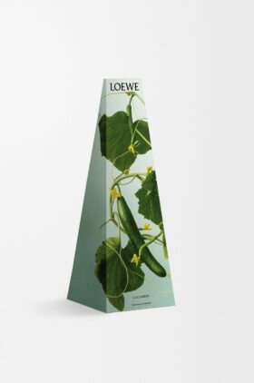 Cucumber Wax Candleholder