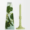 Cucumber Wax Candleholder