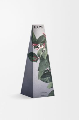 Honeysuckle wax candleholder