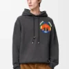 Hoodie in Cotton