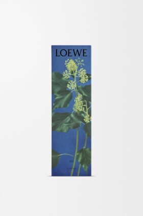 Ivy Incense Sticks