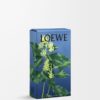 Ivy room spray