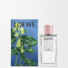 Ivy room spray