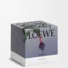 Large Beetroot Candle