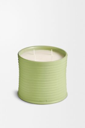 Large Cucumber Candle