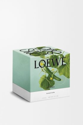 Large Cucumber Candle