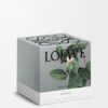 Large Honeysuckle Candle