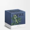 Large Ivy Candle