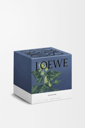 Large Ivy Candle