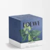 Large Ivy Candle