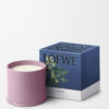 Large Ivy Candle