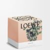 Large Oregano Candle
