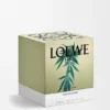 Large Scent of Marihuana Candle Large Scent of Marihuana Candle