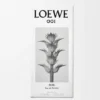 Loewe 001 Man Eau De Toilette 50 Ml Loewe 001 Man Eau De Toilette 50 Ml