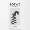 Loewe Esencia Eau De Parfum 50Ml Loewe Esencia Eau De Parfum 50Ml