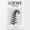 LOEWE Esencia EDP 150ml