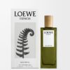 LOEWE Esencia EDP 50ml