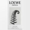 LOEWE Esencia EDT 100ml