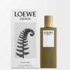 LOEWE Esencia EDT 50ml