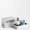 LOEWE Perfumes Home Scents Cypress Balls Gift Set