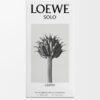 LOEWE Solo Cedro 100ml