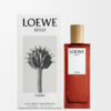 LOEWE Solo Cedro 50ml