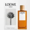 Loewe Solo Eau De Toilette 100 Ml