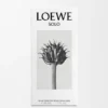 Loewe Solo Eau De Toilette 50 Ml