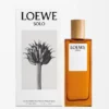 Loewe Solo Eau De Toilette 50 Ml
