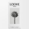 LOEWE Solo EDT 50ml