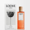 LOEWE Solo Ella EDP 50ml