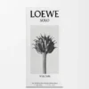 Loewe Solo Vulcan Eau De Parfum 50 Ml
