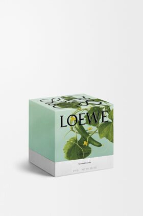 Medium Cucumber Candle