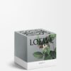 Medium Honeysuckle Candle