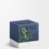 Medium Ivy Candle
