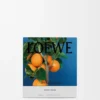 Medium Orange Blossom Candle