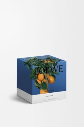 Medium Orange Blossom Candle