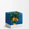 Medium Orange Blossom Candle