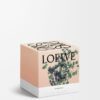 Medium Oregano Candle
