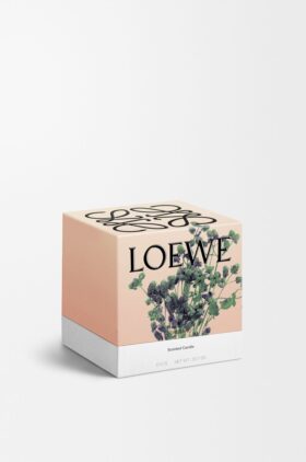 Medium Oregano Candle