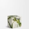 Midi Black Sesame Candle