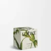 Midi Black Sesame Scented Candle Midi Black Sesame Scented Candle
