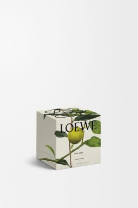 Midi Earl Grey Candle