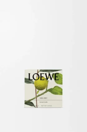 Midi Earl Grey Scented Candle Midi Earl Grey Scented Candle